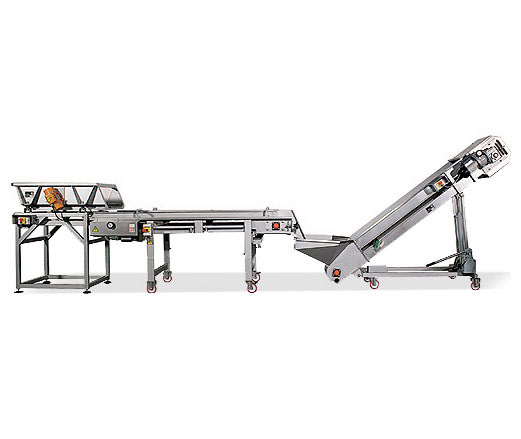 líneas selección uva